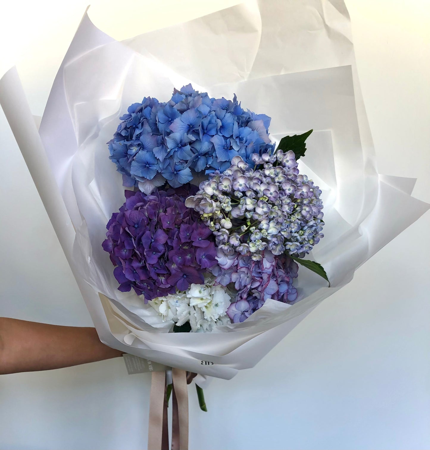 Hydrangea En Masse